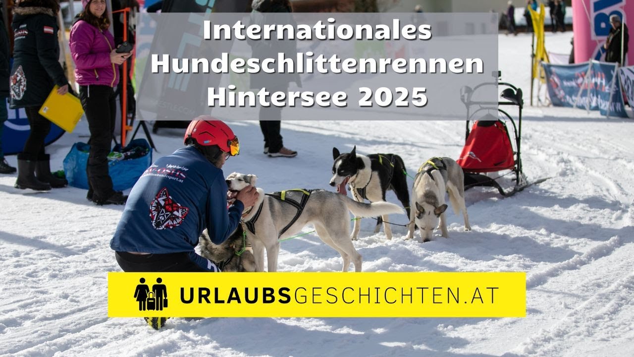 Internationales Schlittenhunderennen Hintersee | 08. & 09.02.2025